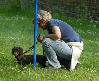 Begleithundeprüfung in Lauf Neuhof